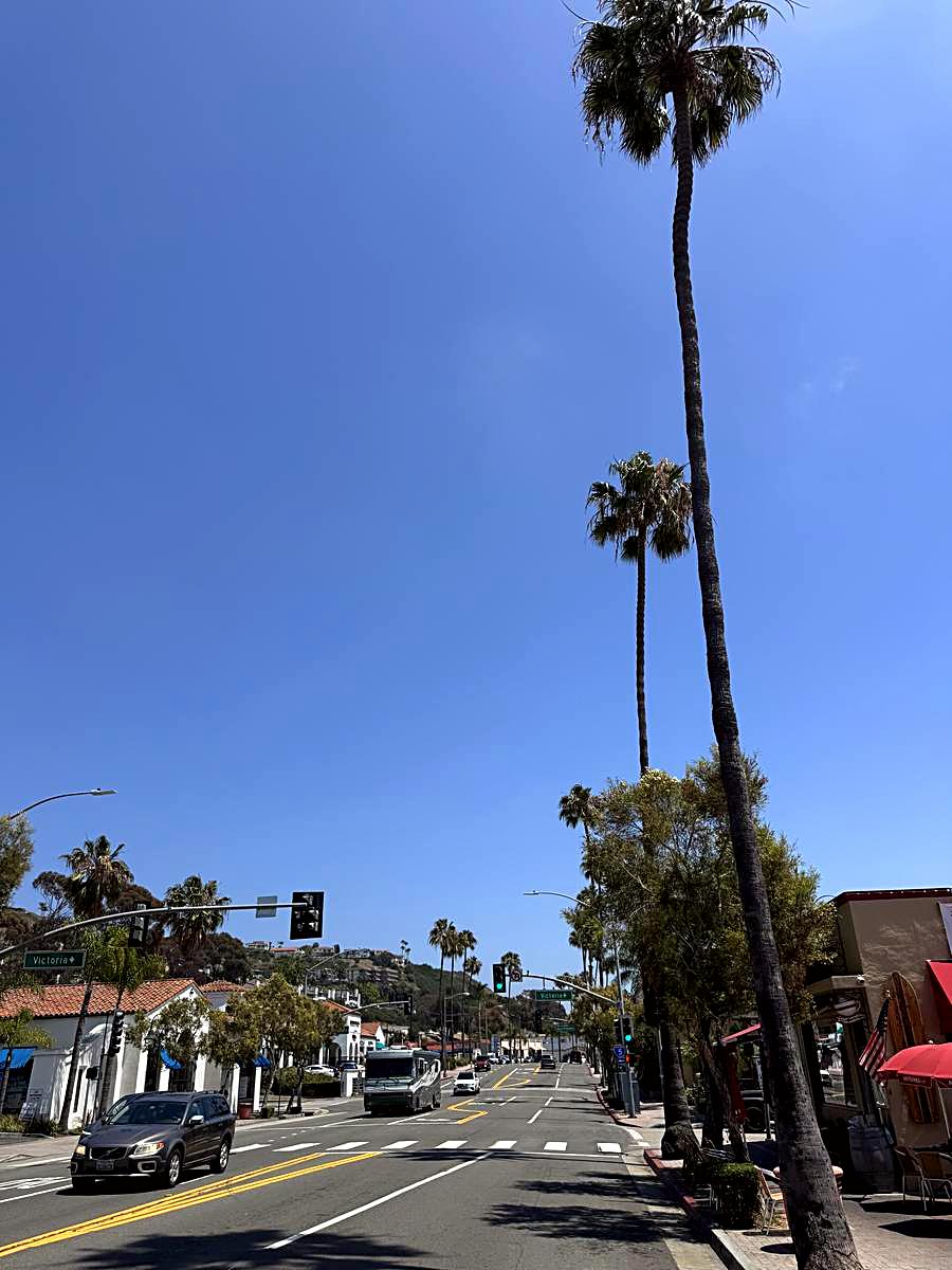 Palm-lined street in San Clemente