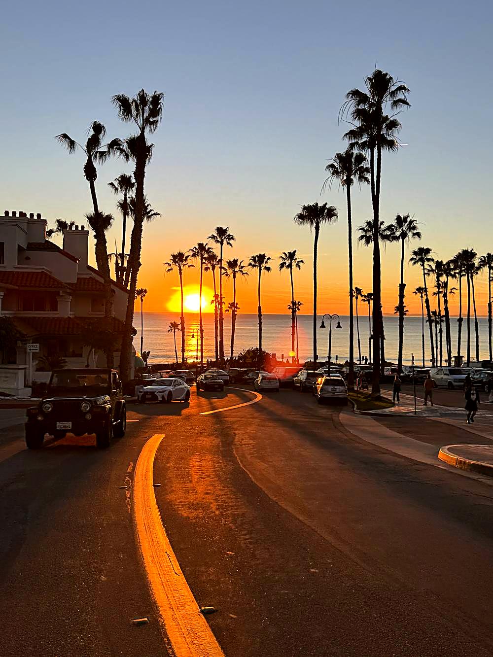 San Clemente pier through the palms